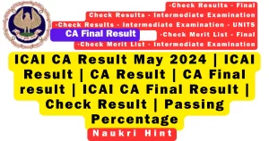 ICAI CA Result May 2024