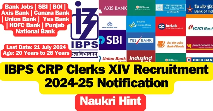 IBPS CRP Clerks XIV Recruitment 2024-25 Notification